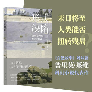 普里莫 莱维作品 形式缺陷 普里莫·莱维 著 小说