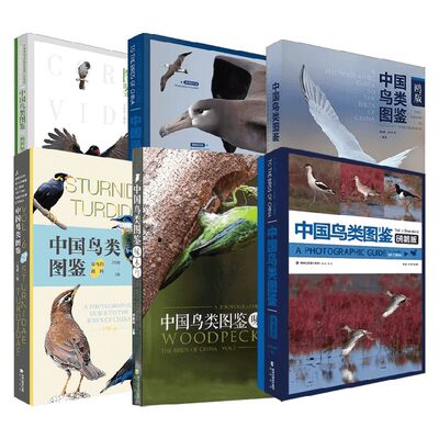 中国鸟类图鉴系列孙家杰