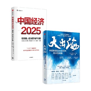 中國經(jīng)濟2025 劉世錦等 著 經(jīng)濟 大出海