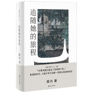 追随她的旅程 路内追随系列 路内 著 小说