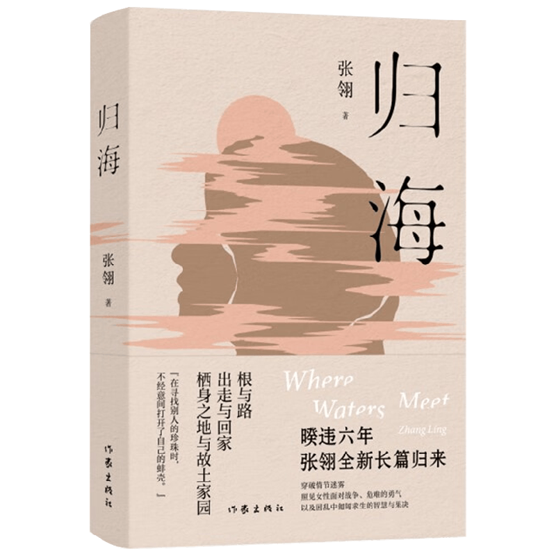 归海 张翎 著 小说