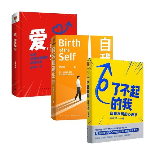 【正版书籍】了不起的我 自我发展的心理学+爱 需要学习+自我的诞生套装3册 陈海贤 武志红 著 励志