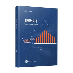 领悟统计 约翰.李维.马丁 著 社会科学