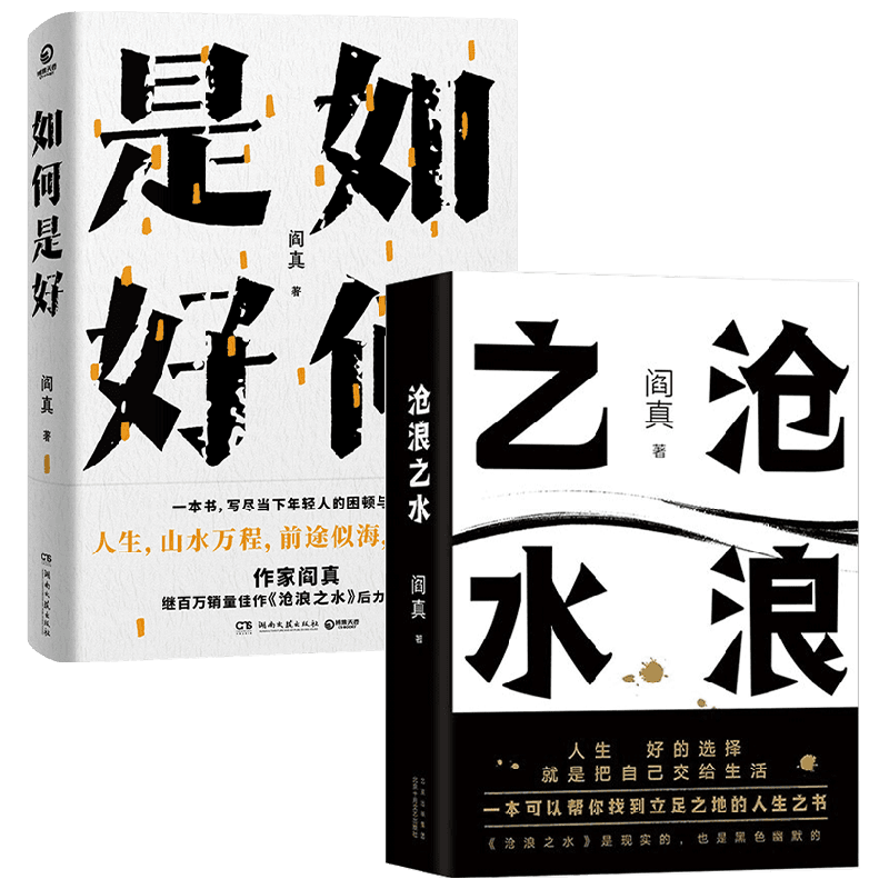 【正版书籍】如何是好+沧浪之水 套装2册 阎真 著 文学