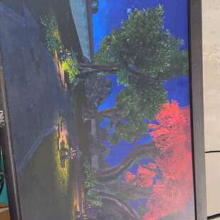 议价华硕GTX1060 6g 显卡，，成色一般，功能完好议价