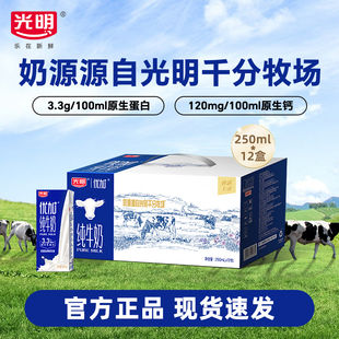 【11月产】光明优加纯牛奶250ml*12盒浓醇营养早餐奶礼盒装