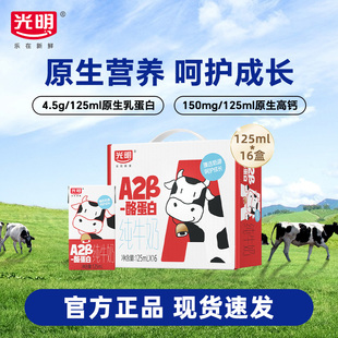 酪蛋白纯牛奶125ml 光明A2β 16儿童牛奶mini营养早餐奶 10月