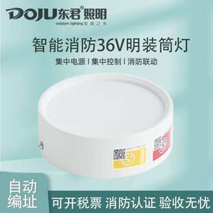 东君消防应急照明筒灯集中电源低压36v24疏散照明指示吸顶明装灯
