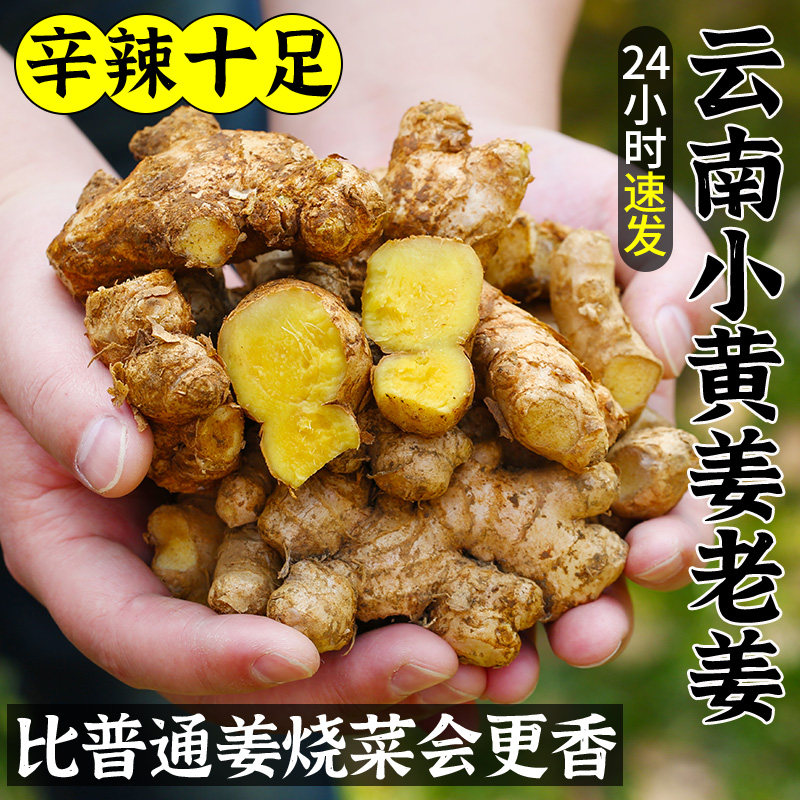云南罗平山地正宗小黄姜新鲜生姜老姜农家本地黄姜泡脚黄姜小姜10