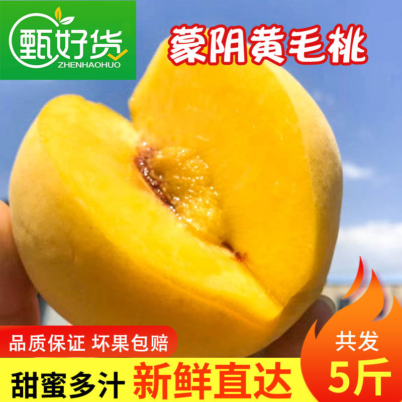 山东蒙阴蜜桃应季黄桃现摘现发新鲜毛桃孕妇宝宝水果脆甜多汁桃子