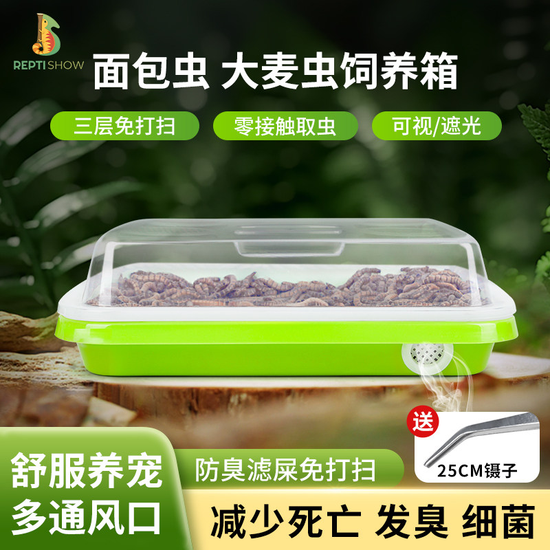 爬虫屎虫面包虫筛网虫饲养繁殖饲爬虫/鸣虫食物