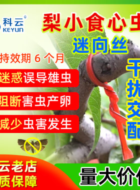 科云梨小食心虫迷向丝生态环保