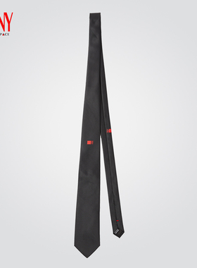 纳艺红色NY字母LOGO领带摩登舞颈饰舞蹈配件男表演西装领带LD923