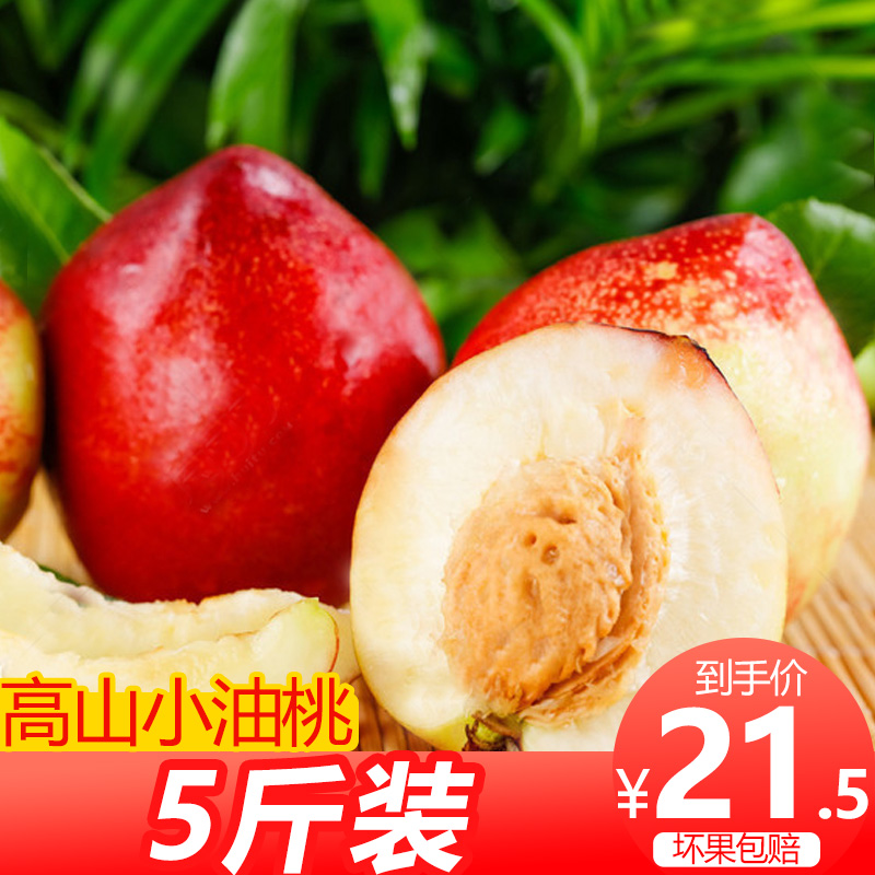 四川小油桃新鲜水果净重5斤 攀枝花攀西高原白肉黄心脆桃子甜当季