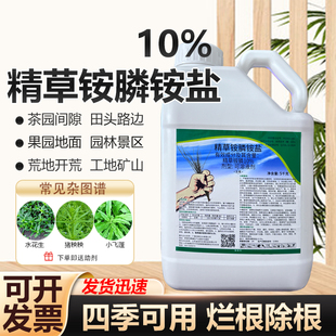 精草胺磷铵盐除草剂非耕地果园柑橘园除杂草烂根剂草铵膦桶装正品