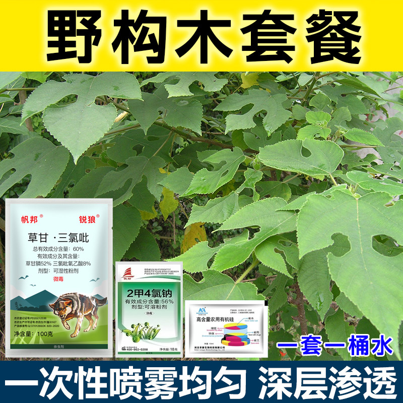 草甘三氯吡除草烂根套餐见效快灌木拉拉藤杂草开荒农药正品套餐