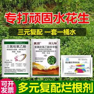 水花生克星烂根除草剂强力除杂草水葫芦牛筋草一扫水花生烂根药剂