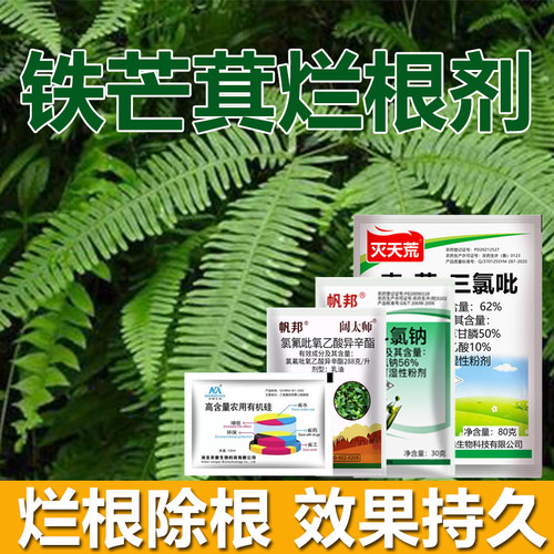 铁芒萁枯萎组合套餐除铁芒萁烂根死根剂除杂草专用农药正品除草剂