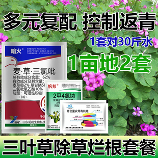 除三叶草组合套餐麦草三氯吡除杂草三叶草死根烂根正品专用除草剂