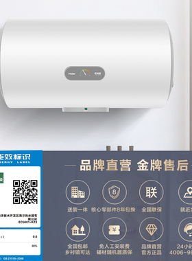 海尔电热水器电家用60L洗澡储水式速热卫生间租房一级节能KZ3