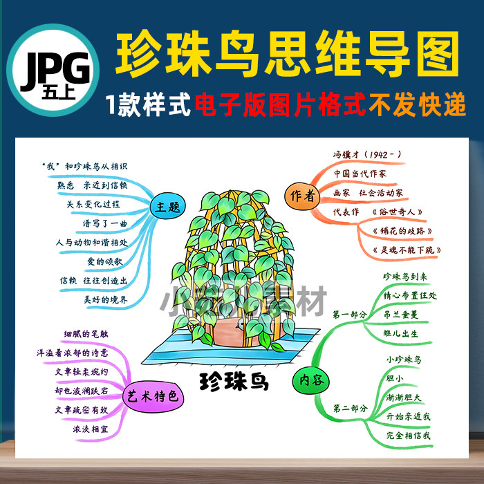 B386五语上《珍珠鸟》思维导图线稿电子版图片格式