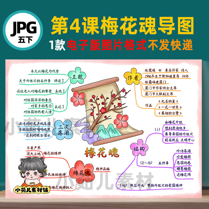 b577五语下第4课《梅花魂》思维导图彩图线 稿电子版图片