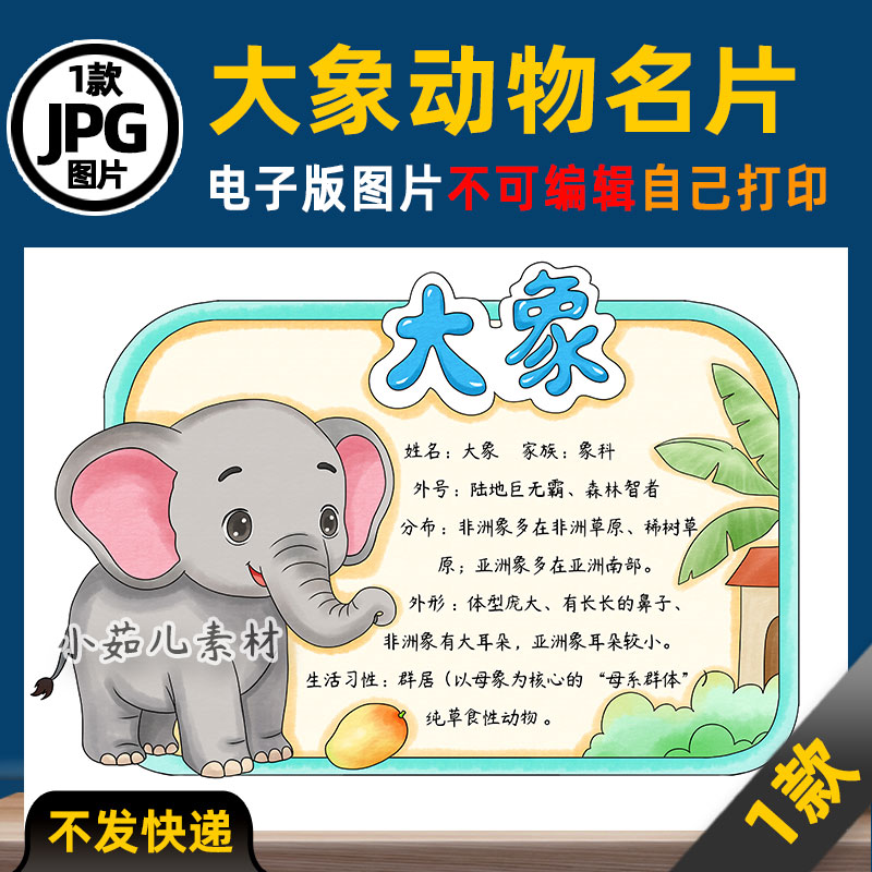 1148【电子版】大象动物名片动物卡片动物观察手抄报线稿