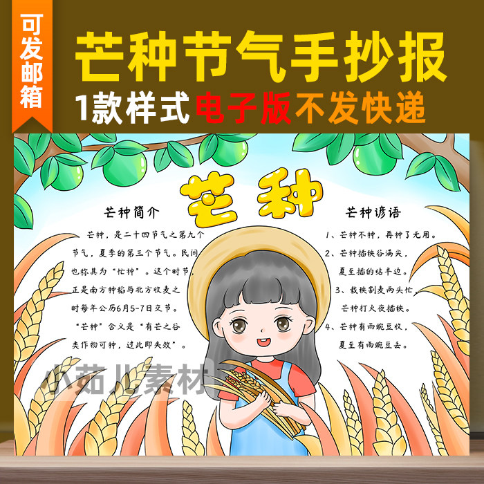 B303芒种手抄报模板电子版小学生夏天24二十四节气手抄报线描