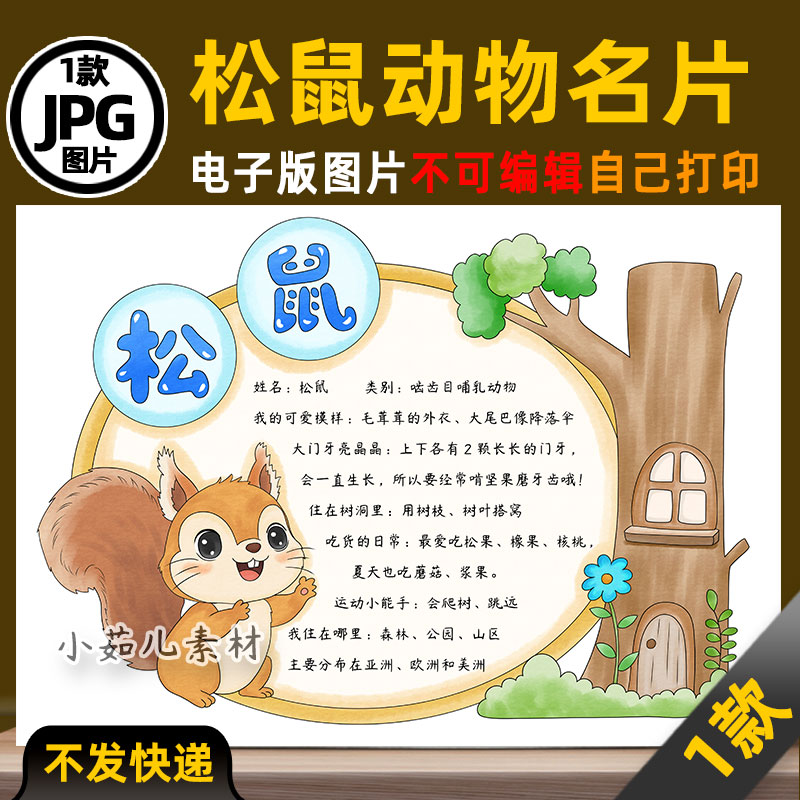 1058松鼠手抄报动物名片观察动物电子版线稿可打印图片素材