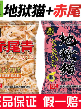 钓鱼王赤尾青地狱猫黑坑野钓鲫鲤白条翘嘴黄尾巴罗非鱼鲜腥味饵料
