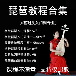 零基础琵琶入门视频教程教学课合集初学者训练练习曲音乐课程成人