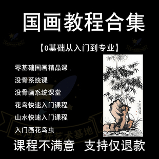 国画没骨画视频教程零基础自学入门教学课工笔课程人物花鸟技法画