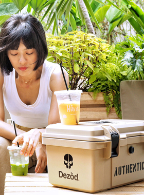 Dezòd 防水手提工具箱防潮收纳摄影器材画箱五金ABS 混沌盒子