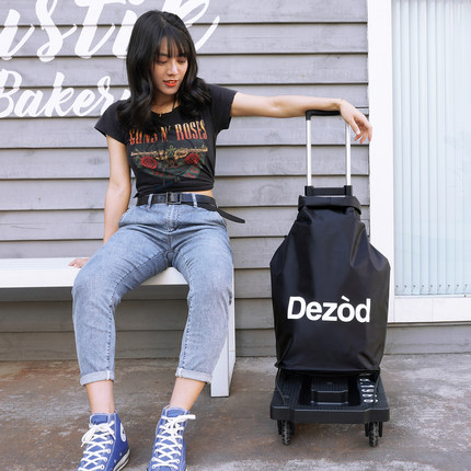 万向轮手推车ABS铝合金拉杆带脚刹搬家拿快递 Dezod混沌盒子