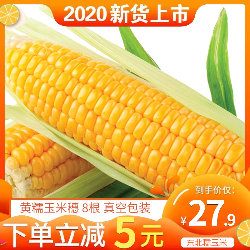 念食居 真空包装东北糯玉米棒8支 新鲜粘苞米黏玉米 吉林鲜食玉米