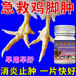 鸡腿瘫痪病鸡滑液囊支原体养鸡专用药鸡脚肿大关节红肿烂脚掌消肿