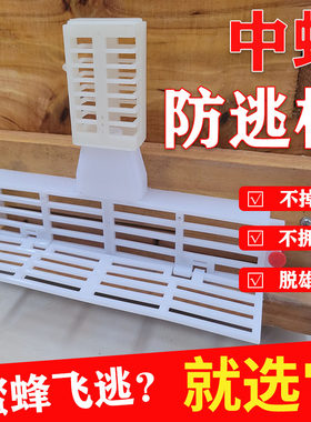 中蜂防逃框多功能蜜蜂箱巢门塑料隔王板蜂王防跑片防盗器养蜂工具