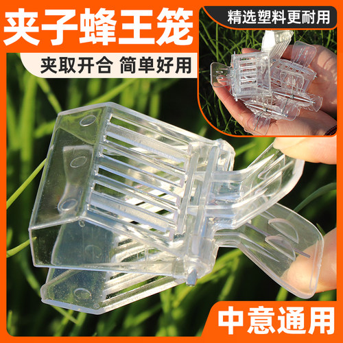 透明夹子蜜蜂王笼塑料书夹囚王笼中意蜂通用关介王器养蜂工具全套