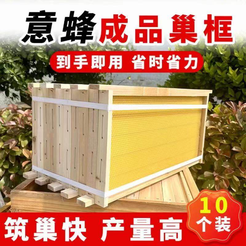 意蜂巢础巢框成品蜂巢全套养蜂工具蜜蜂蜂箱巢脾洋蜂带框巢础蜂具