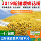 油菜杂粉2019新喂蜂花粉养蜂喂蜂专用花粉蜜蜂饲料杂花粉蜂粮 包邮