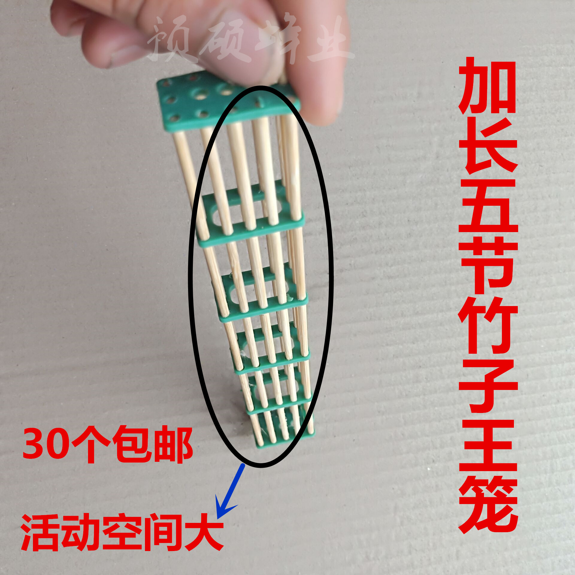 加长王笼加长五节竹子囚王笼蜂王