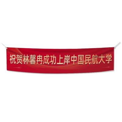 上岸励志彩色横幅定制背景布宿舍下铺装饰布出租屋卧室墙面简约画你一定会上岸房间墙面装饰学习氛围挂画礼物