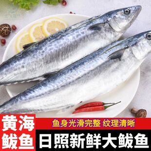 山东燕鲅鱼鲅鱼马鲛鱼商用鲐鲅新鲜冷冻批发直发非挪威进口青花鱼
