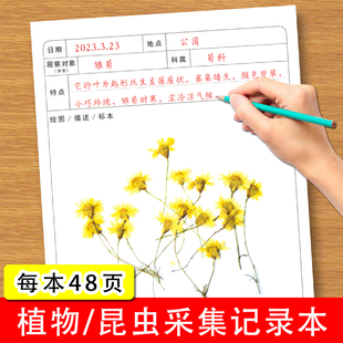 植物昆虫采集记录本适用于小学生观察并记录植物或动物的特点进行描述绘画的植物昆虫采集记录本