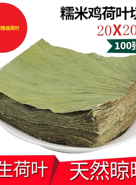 微山湖无添加整张新鲜糯米鸡蒸排骨食品厂干荷叶20CMX20CM包邮