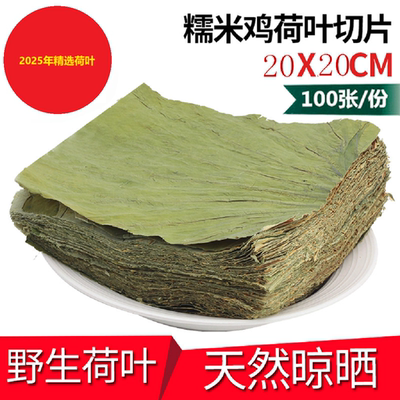 微山湖整张新鲜专用两广东荷叶