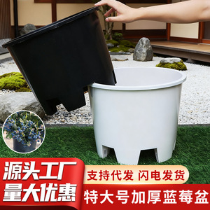 特大号塑料花盆圆形青山侧排孔控根盆加厚绿植花卉呼吸种植盆批发
