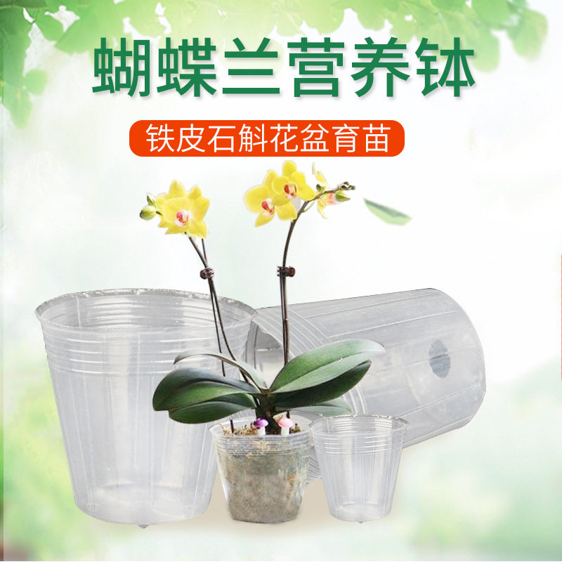 蝴蝶兰营养钵兰花石斛播种育苗盆透明育苗杯白色营养杯塑料育苗袋图片