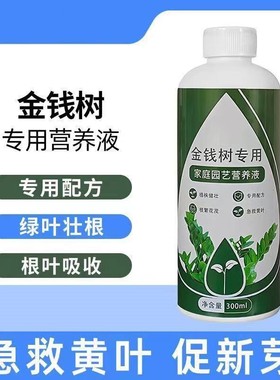 【金钱树营养液】金钱树叶子枯叶黄叶掉叶专用营养液防黄叶落叶烂