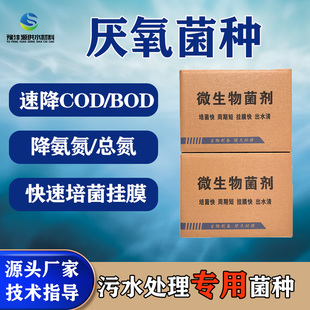 厌氧菌高效好氧菌低温菌复合菌种降COD降氨氮降总氮降总磷